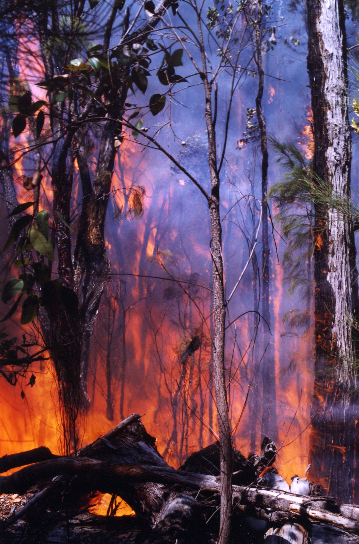 Protecting Towns From Bushfires