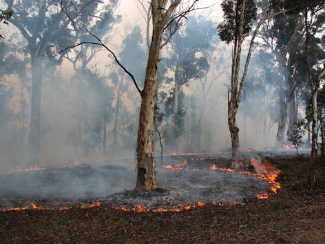 Protecting Towns From Bushfires